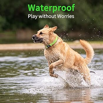 rechargeable flashing dog collars