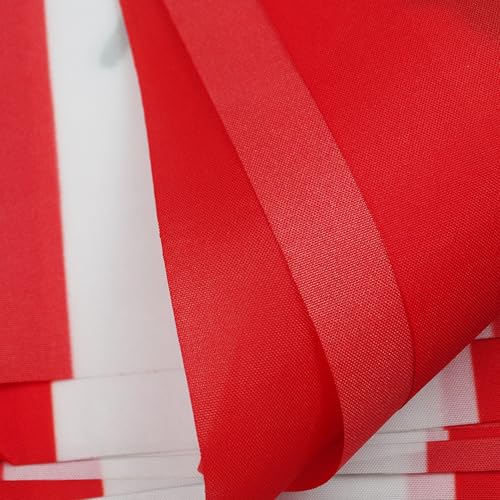 Image of AZ FLAG Lebanon 6 meters BUNTING Flag 20 flags 9'' x 6'' - Lebanese STRING flags 15 x 21 cm