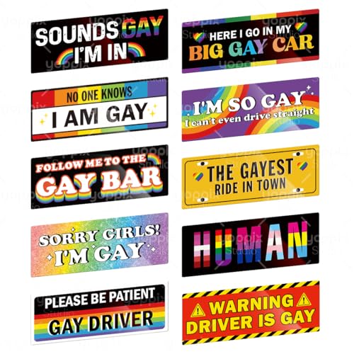 YOPPIX 10PCS Gay Pride Funny Car Magnet LGBT Rainbow Pride Prank Magnetic Bumper Sticker for Adult Waterproof Magnetic Car Stickers for Vehicles and Trucks Reusable Magnet Sticker for Fridge