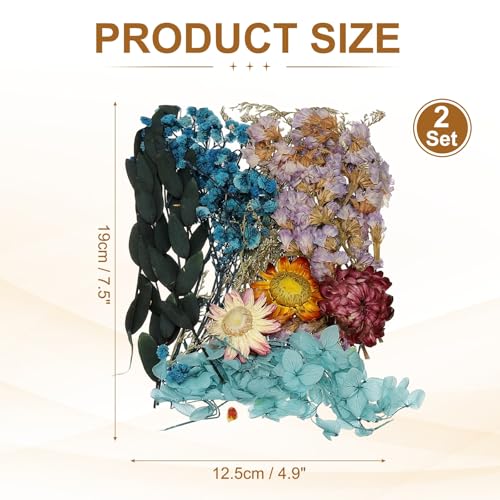 Set de Flores Secas Naturales uxcell 2 Piezas Azul miniatura 2