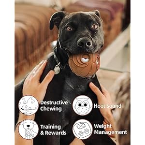 Giggle Ball for Dogs Owl Dog Toys for Aggressive Chewers Medium Large Dogs Fun Gift for Dog Natural Rubber Herding Ball for Dogs Cute Owl Hoot Brown New