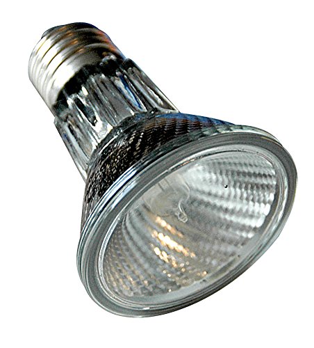 Lucky Reptile Halogen Sun - 50 W Wärmestrahler für E27-Fassungen - Halogenstrahler für Reptilien - Terrarium Lampe mit Tageslichtspektrum - Wärmelampe dimmbar - Zubehör Terrarium, 1 Stück (1er Pack)