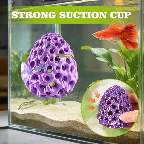 Image of Shrimp Dome Hide, Shrimp Hides for Aquarium, Betta Fish Hideout with Suction Cup, Betta Habitat Tank Ornament Accessories, Aquarium Decor for Small Fish Guppy Hiding Resting (Purple)