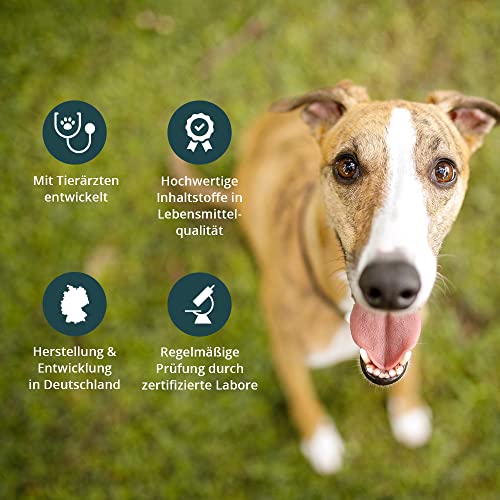 purapep Comfort Hunde Tabs – Natürliches Beruhigungsmittel mit Tryptophan, Magnesium & B Vitaminen – Ideal bei Stress, Angst & Silvester – Für entspannte Hunde in jeder Situation | 120 Tabs