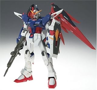 TAMASHII NATIONS コズミックリージョン#7004 デスティニーガンダム