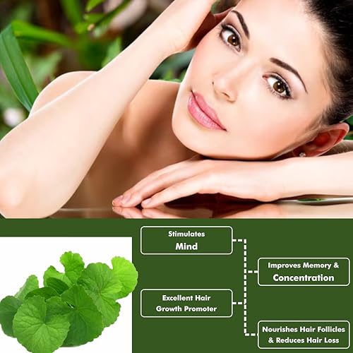 Image of Bioleaf Botanicals Brahmi Powder | 100% Pure & Natural | For Hair Growth, Scalp Nourishment & Glowing Skin | Herbal Powder for Face & Hair Masks | Chemical-Free - 100g x 3 (Total 300g)