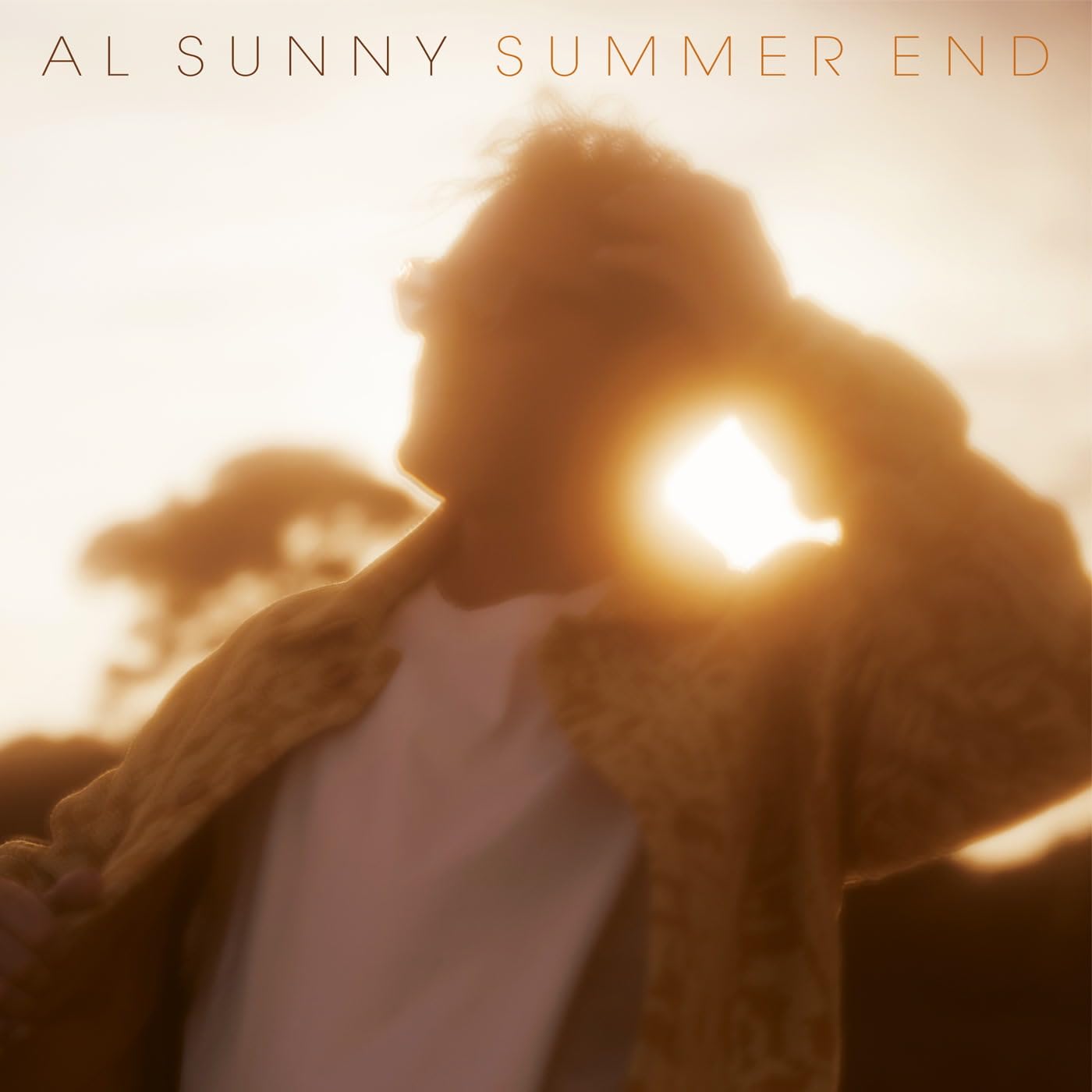 Al Sunny Summer End LP Vinyl NEW