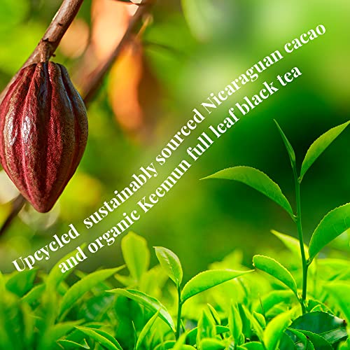 The Republic Of Tea - Theo And Thea Bananas Foster Full-Leaf Black Tea, 14 Pyramid Sachets, Low Caffeine #TOP5