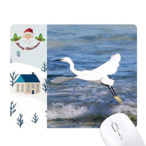 I[VCg̊C̎ʐ^ T^N[XƉS̃}EXpbh