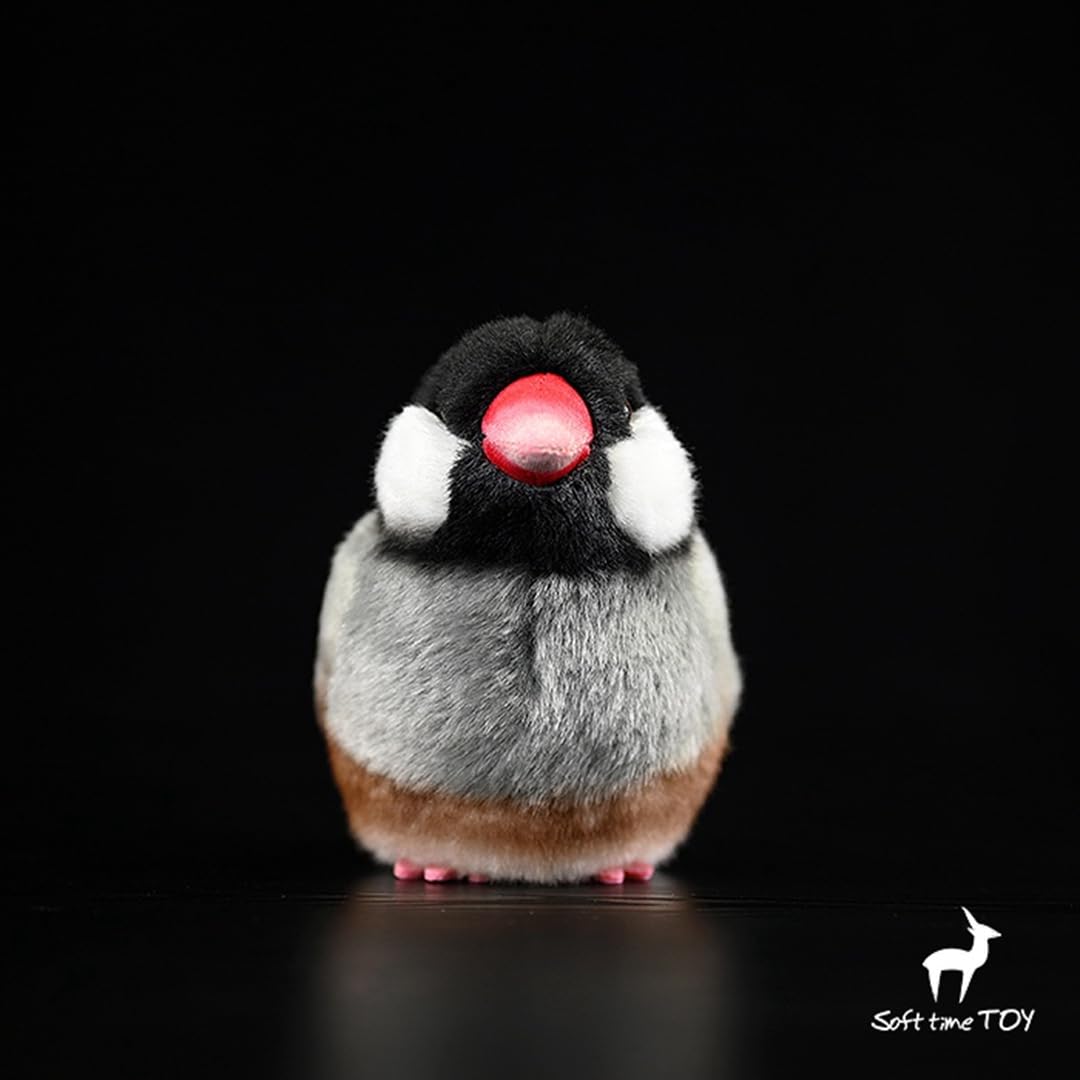 Amazon.co.jp: ブンチョウ ぬいぐるみ 抱き枕 動物 桜文鳥 鳥