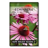Sow Right Seeds - Purple Coneflower/Echinacea Flower Seeds for Planting - Non-GMO Heirloom Seed -...