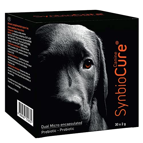 Synbiocure I Probiotics & Prebiotics for Dogs I Powder Dog Supplement I Digestive Health Support I 200 Billion Bacteria Per Sachet I 30 Sachets*2 g Synbiocure I Probiotics & Prebiotics for Dogs I Powder Dog Supplement I Digestive Health Support I 200 Billion Bacteria Per Sachet I 30 Sachets*2 g