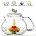 Tea Beyond Clear Glass teapot Rainbow Butterfly 24 oz/710ml non drip heat resistant