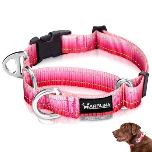 Arblina Martingale Collar for Dogs Large Medium Small Heavy Duty Buckle Dog Collar with Tag Ring...