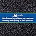 Kevala Organic Black Cumin Seeds (Nigella Sativa) – Raw Seeds for Vegan Diet, Gluten-Free Spice for Baking and Cooking, Topping for Fresh Salads and Snacks, non-GMO Project Verified, 32 oz, 2 lb