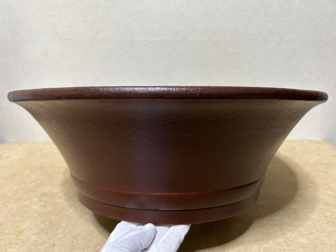 Amazon.co.jp: 大型 山秋 盆栽鉢 山野草 : DIY, Tools & Garden
