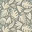 Botanical Bliss Agave Botanical Bliss Agave