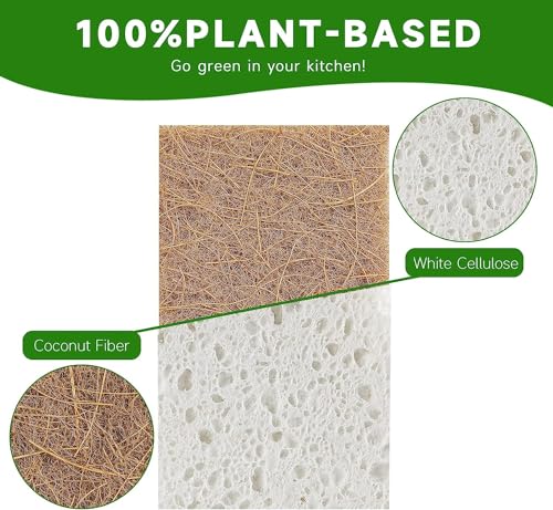 Image of Graham & Ash Co Natural Kitchen Sponge - Biodegradable Compostable Cellulose and Coconut Scrubber - Pack of 10 Eco Friendly Sponges