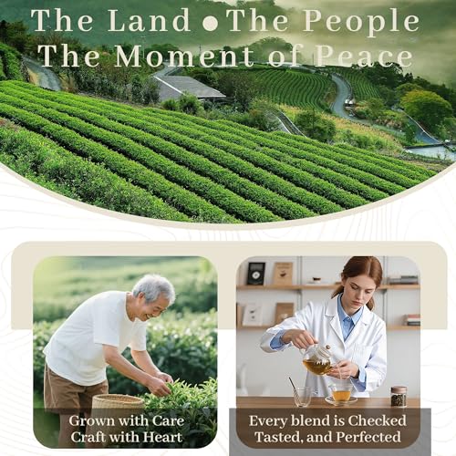 Image of Johou Chamomile Herbal Tea Pods, Specially Ground Pure herb, Full-Flavor, Compatible with All K-Cup Brewers & Keurig 2.0, 24 pods, Caffeine Free Sleep time Tea, Made in Taiwan