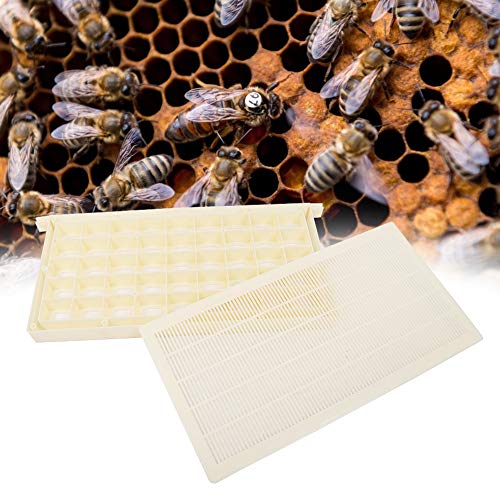 Beekeeping Kit，Multifunction Queen Rearing Cupkit System Cultivating Cage Bee Beekeeping Catcher Box Tool Kit Beekeeper Accessory Equipment Hive Tool Beekeeping Kit - Thumbnail 7