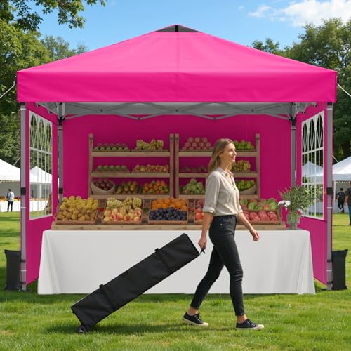 Raynesys 10x10 Pop Up Canopy
