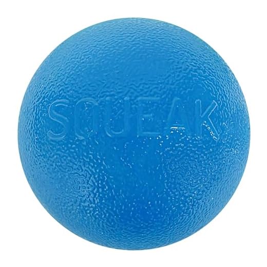 Planet Dog Orbee-Tuff Squeak Ball - Hondenspeeltje - bal met piep - blauw