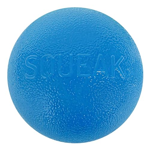 Outward Hound by Planet Dog Squeak Ball Bouncy Fetch Dog Toy Blue