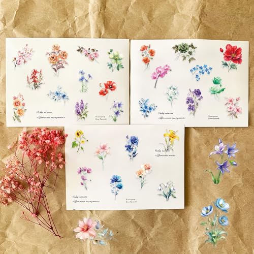 Image of Transparent Flora Scrapbook Stickers Aesthetic Flowers Stickers(C50) | Transparent & Waterproof Sticker for Scrapbook Journal Water Bottle Kindle, DIY Crafts, Party Supplies