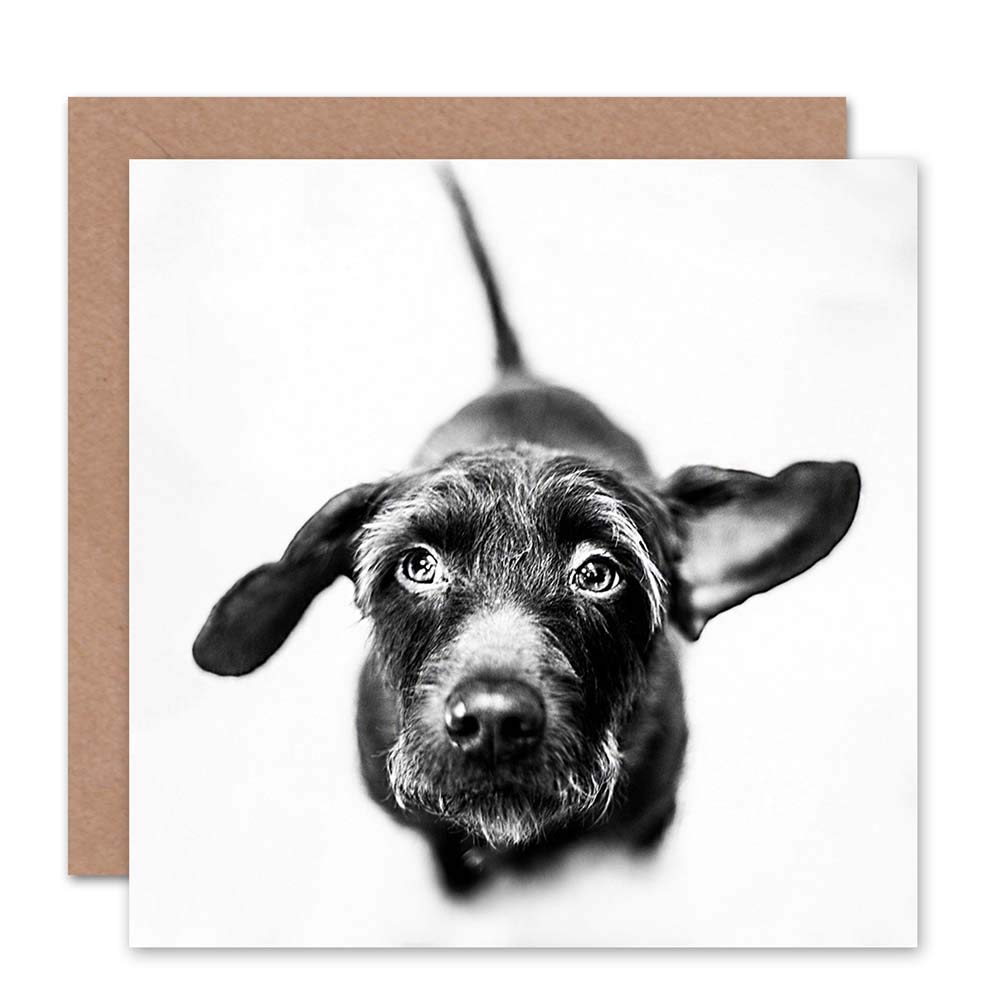 Wee Blue Coo GREETINGS CARD BIRTHDAY GIFT ANIMAL DOG CUTE PUPPY BW