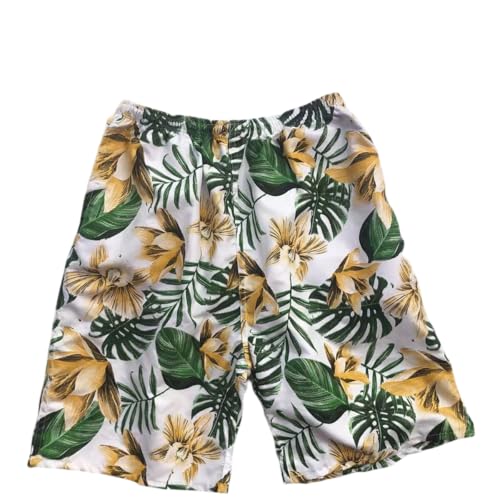 Men's Summer Beach Shorts Summer Outfits Stylish Pattern Casual Wear Bathing Suit Hawaiian Pants, Suitable for 60-95kg2