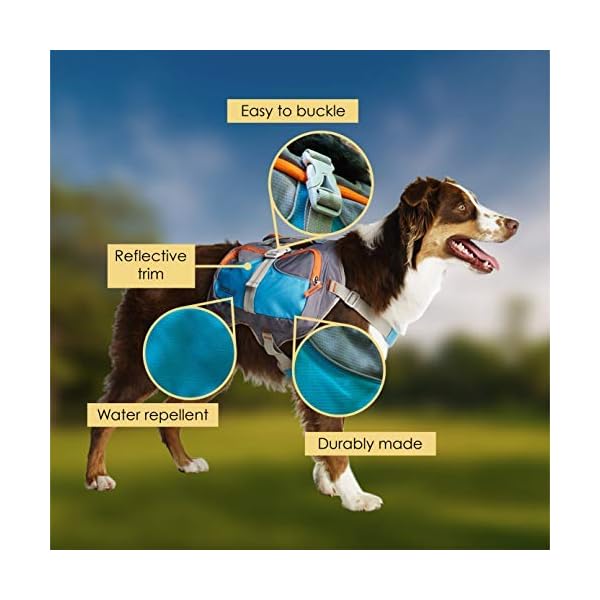 Cesar-Millan-Dog-Backpack-Small Adventure-Ready Cesar Millan Dog Backpack - Small Size for Active Canines