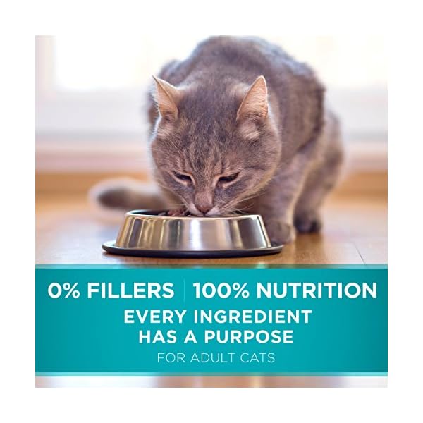 Purina ONE Dry Cat Food, Salmon & Tuna Flavor, 16-Pound Bag by – Bild 11