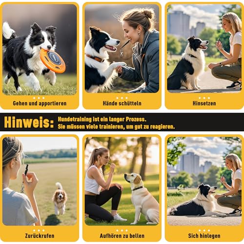 Kolamom Hundepfeife für Rückruf, Hundepfeife Hochfrequenz Lautlos mit Pfeifenband, Genormter Frequenz, Hörbar & Weitreichend, Erziehungshilfen für Hunde der Perfekte Rückruf