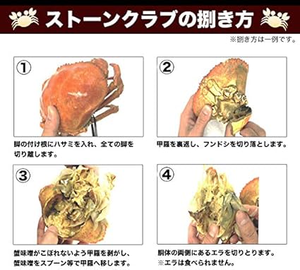 Amazon ミソたっぷり 大型ストーンクラブ 3kg 総重量 3 3kg前後 快適生活 カニ 通販