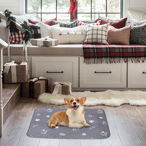 ybgV[g - gCg[jOpz}bg - z ~ Ci[ ی gCg[jOp P[W N[g gC{bNX  L tFbg nX^[ ETMp