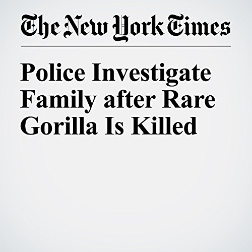 Police Investigate Family after Rare Gorilla Is Killed cover art