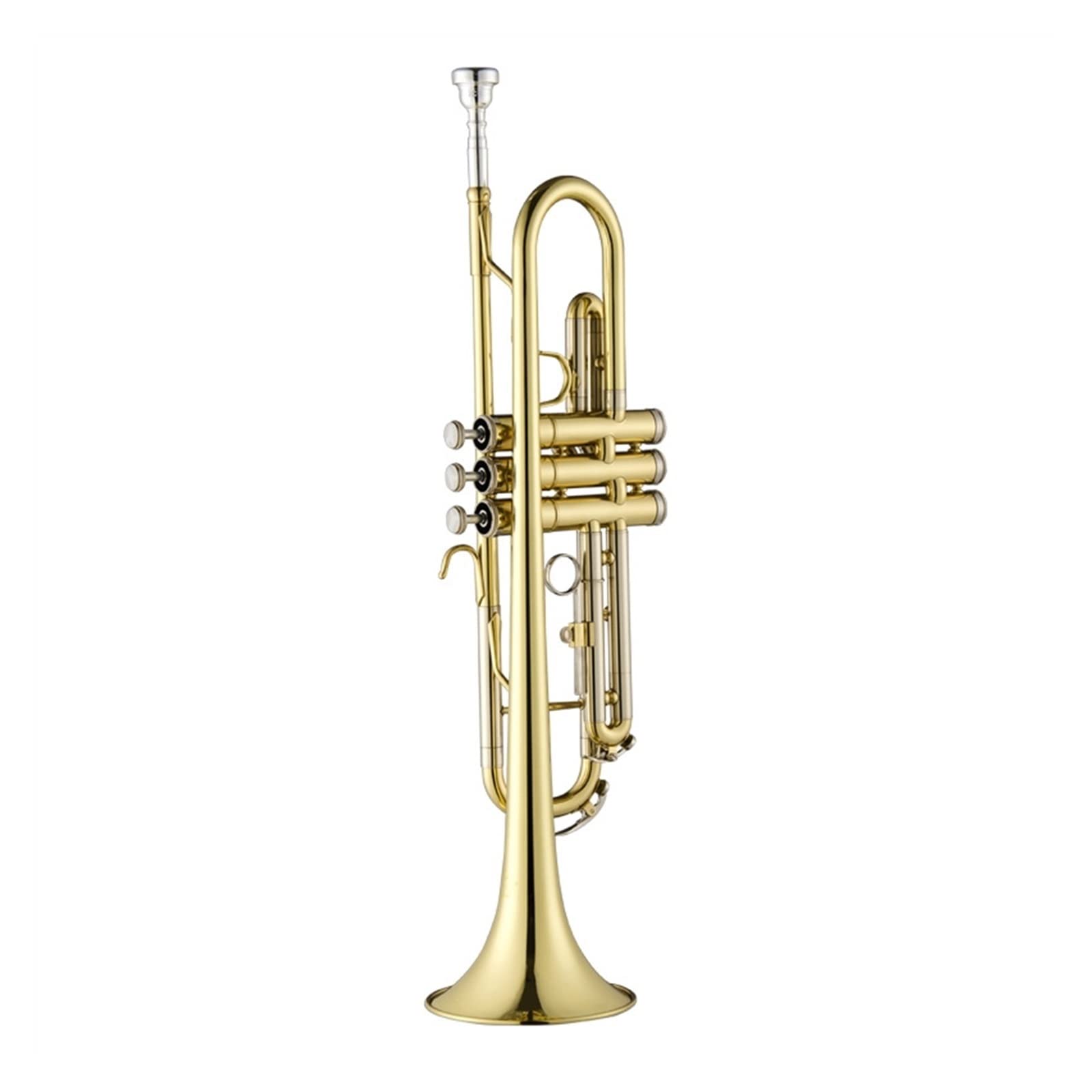 Standardowy Instrument Trąbkowy Złoty/srebrny B-płaski Profesjonalny Mosiężny Trąbka Studencka Standardowa Trąbka Student Trąbka (Color : 01)