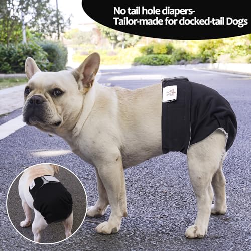 Image of CuteBone Washable Dog Diapers Female No Tail Hole 3 Pack Reusable Doggie Period Training Pants for Docked-Tail Frenchie French Bulldog Boston Terrier Without Tail WWD21L