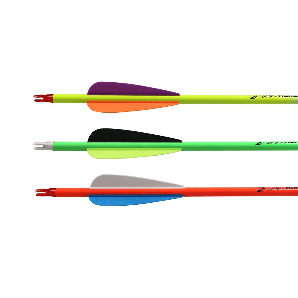 Flèches De Tir à L'arc En Carbone - Lot De 12 - Longueur 31 Pouces (79 Cm) - Spine 600 - Pour Arc Classique Et Chasse