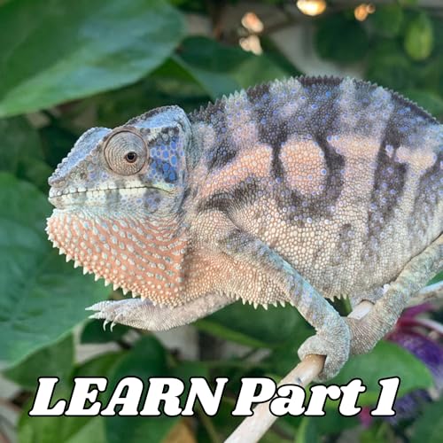 The Challenge of Learning About Chameleons