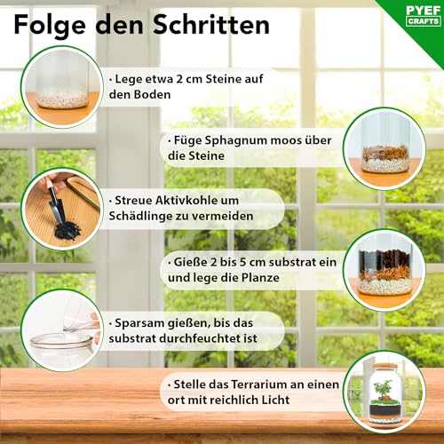 PYEF CRAFTS Flaschengarten Komplettset XL für Ökosystem im Glas - 4L Terrarium Pflanzen für Biotop Im Glas - Biosphäre Terrarium Set - Kit Ohne Pflanze (Flaschengarten Groß 4L)
