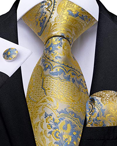Image of DiBanGu Silk Ties for Men Necktie and Lapel Pin Brooch Set Formal Woven Paisley Plaid Striped Solid Tie Wedding Party