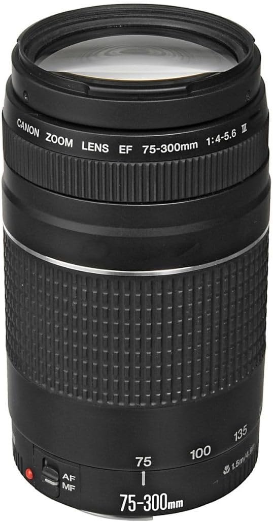 Canon EF 75-300mm f/4-5.6 III Telephoto Zoom Lens for Canon SLR Cameras