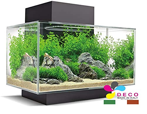 Sabbia Bora Modello 287 Per Acquario Acqua Salata - Substrato Naturale Per Pesci Marini - Foto 9