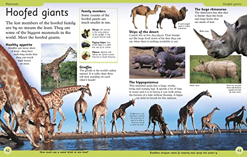 First Animal Encyclopedia: A First Reference Guide to the Animals of the World 6 51HNIwMN51L