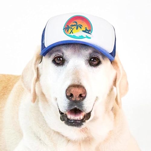 Sunset Collection, PupLid Trucker Hats for Dogs (Large) Premium Stylish Sun Protection for The Modern Dog - Adjustable for Secure Comfortable Fit on Active Dogs (Blue, Surfer Dog)