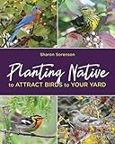 Planting Native to Attract Birds to Your Yard