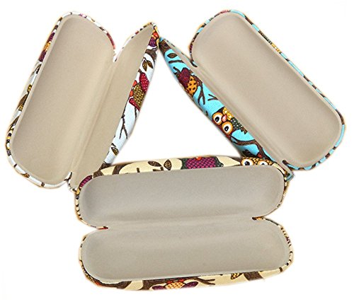 Lesirit Hard Shell Eyeglass Case Glasses Holder (Owl-White)