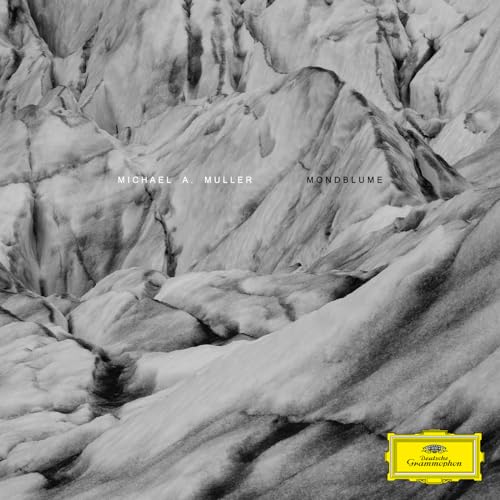 Michael A. Muller & Spencer Zahn