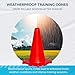 LVL10 Pro Training Cones - 12